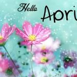 Weekly newsletter preview