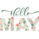 Weekly newsletter preview