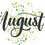 Weekly newsletter preview